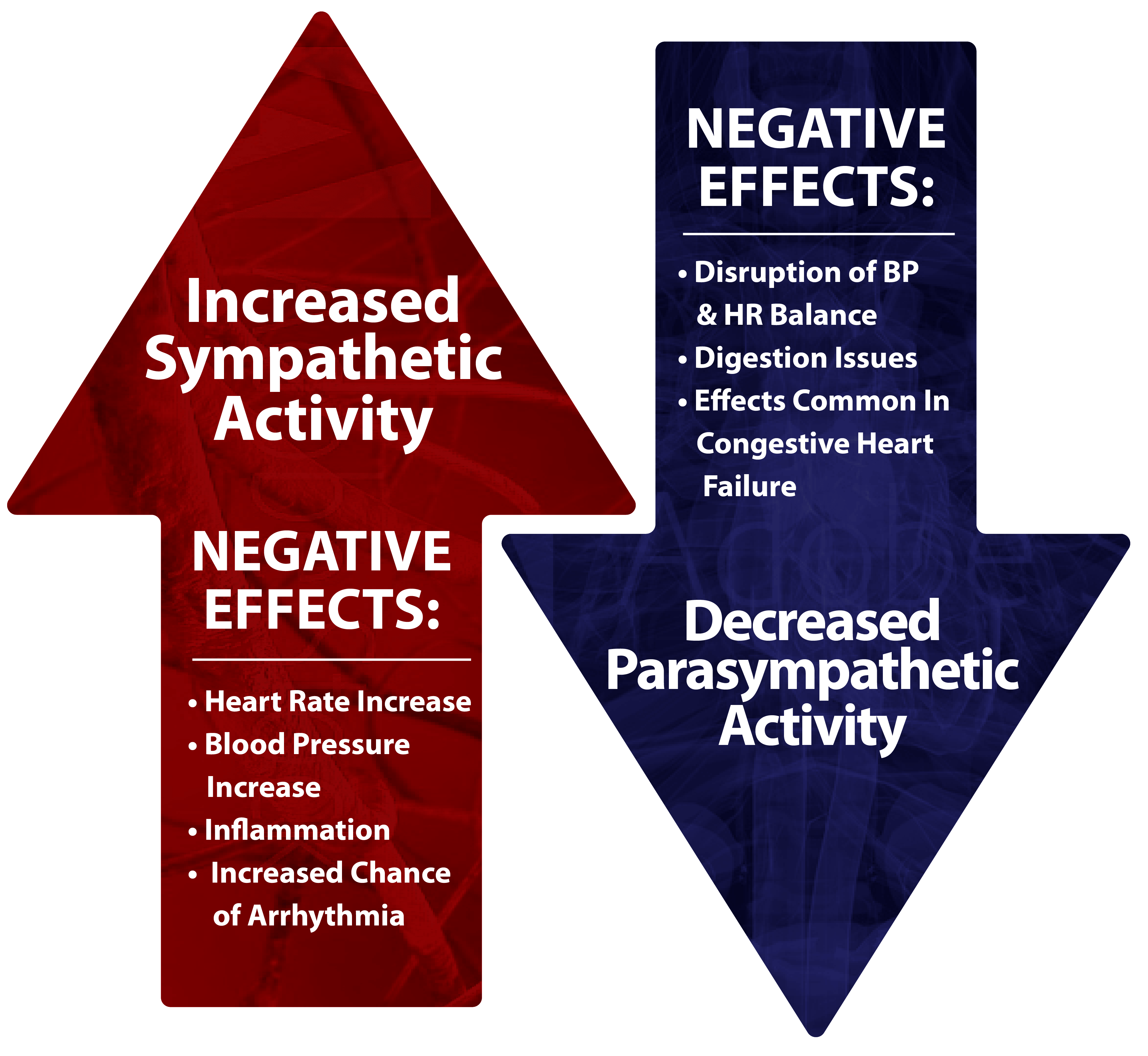 Sympathetic & Parasympathetic Activity With Sleep Apnea